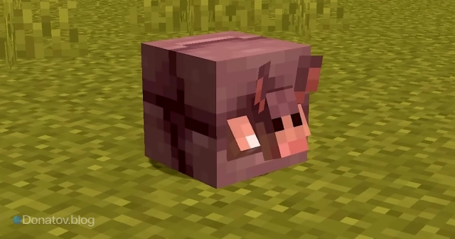 Свёрнутый броненосец