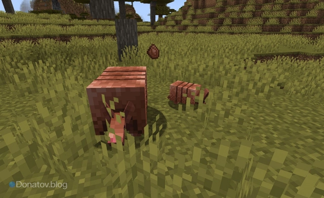 Броненосец с детёнышем