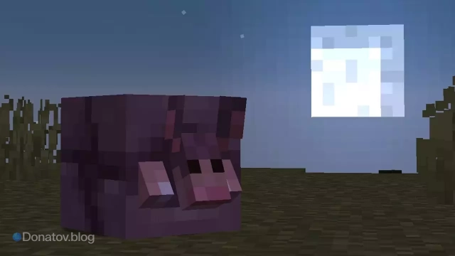 Броненосец в потёмках