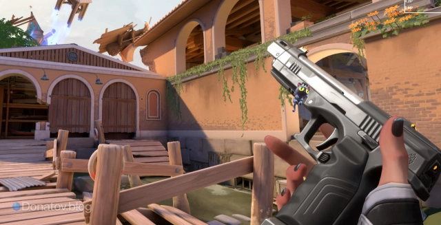 Bandit при осмотре.