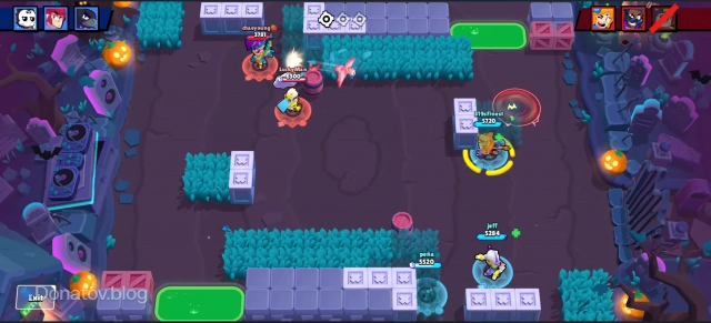 Кит в Нокауте