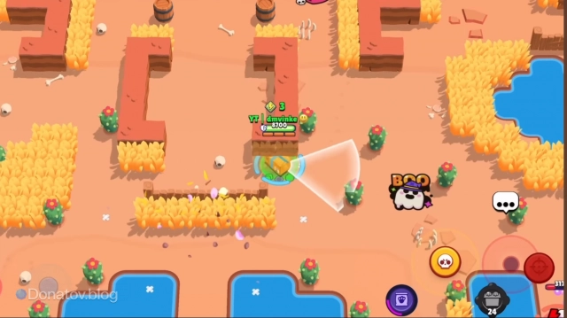 Кит в Столкновении