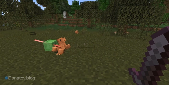 Лягушка атакует слизня