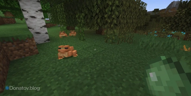 Лягушки идут за игроком со слизью