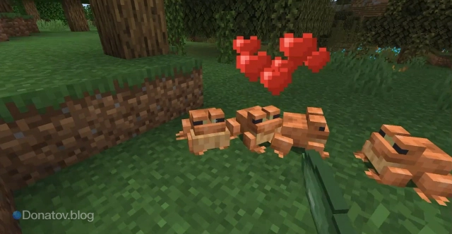 Сердечки над лягушками