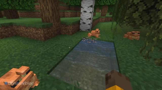 Лягушка отложила икру в воде