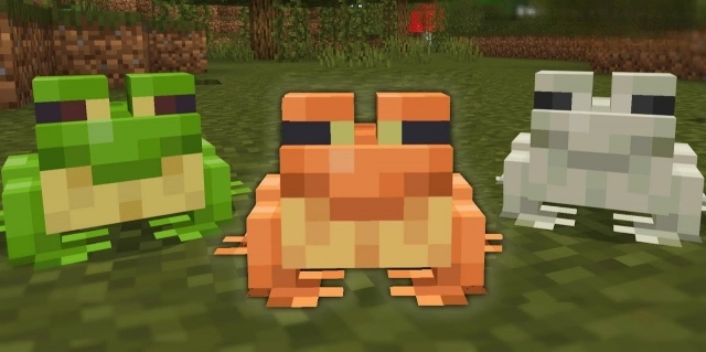 Как размножить лягушек в Minecraft — простой и понятный гайд