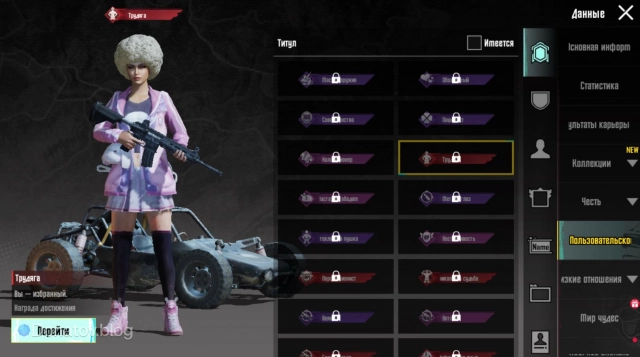 Титул в профиле игрока в PUBG Mobile