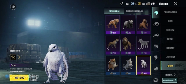 Сокол в магазине PUBG Mobile