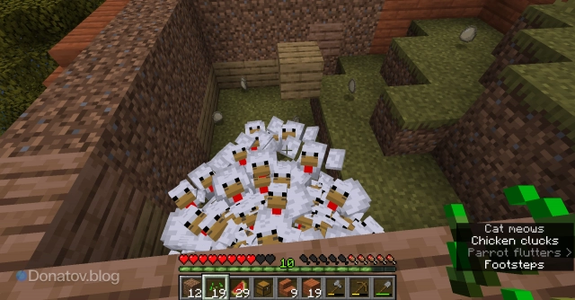 Курицы в загоне