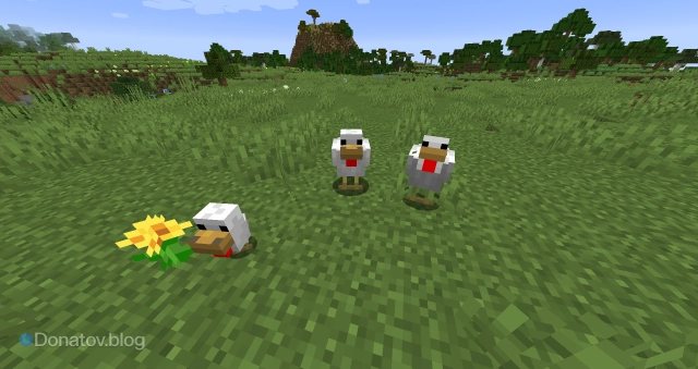 Курицы с цыплёнком в Minecraft