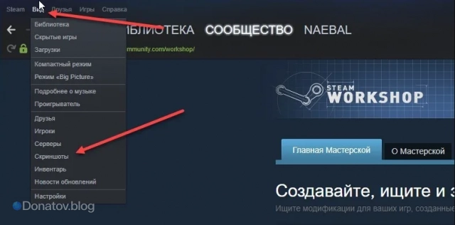 Галерея скриншотов Steam