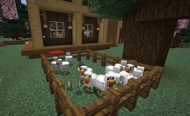 Как размножать куриц в Minecraft: где их найти и зачем это нужно