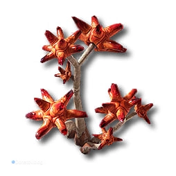 Витродендра