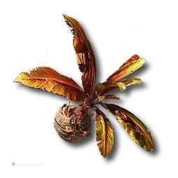 Моровый Яшмолист