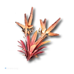 Ложная Аггела