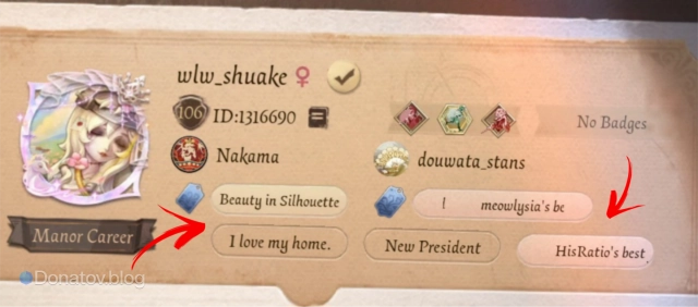 Лейблы в профиле игрока в Identity V