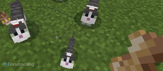 Котята с кошками в Minecraft