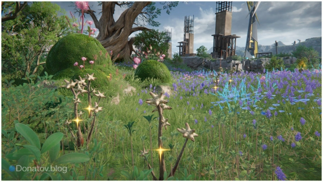 Второе место сбора