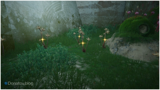 Пятое место сбора