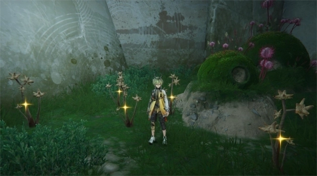 Калкодендра в Arknights: Endfield — места сбора и способ применения