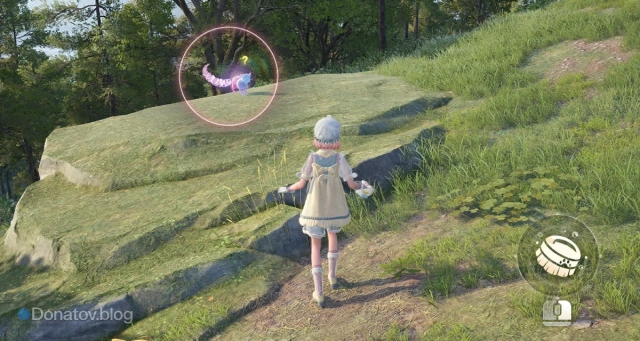 Whimink в Infinity Nikki