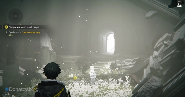 Цветочный луг внутри башни