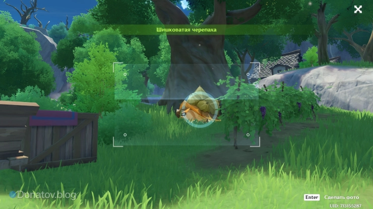 Черепаха под деревом