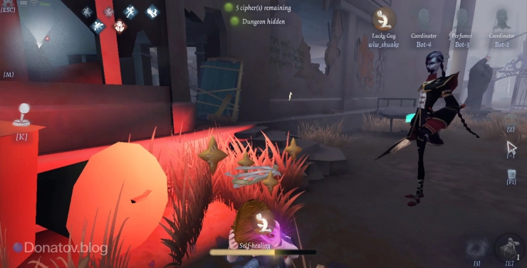 Сурв не может подняться самостоятельно