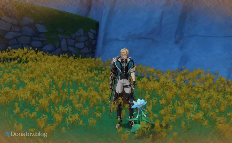 Варка в Genshin Impact