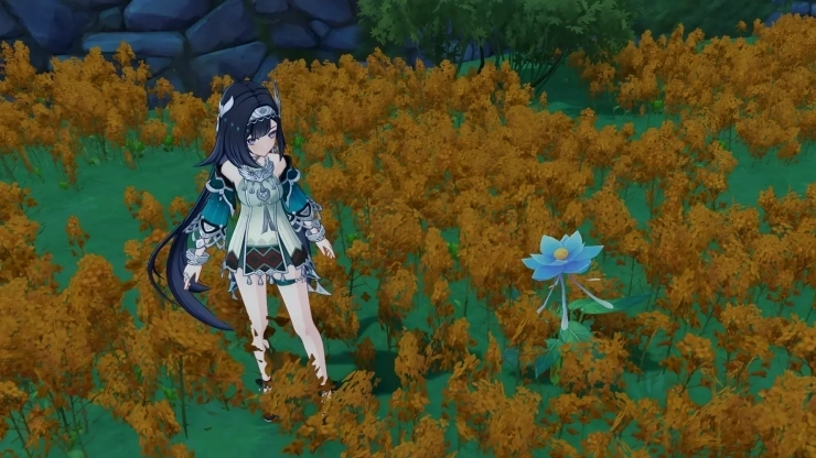Где купить глазурную лилию в Genshin Impact: место и цена продажи