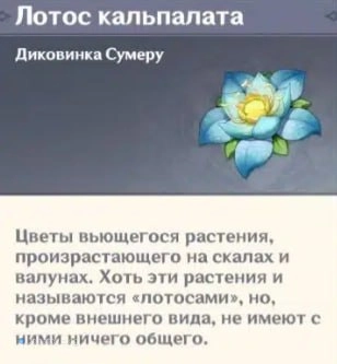 Лотос кальпалата