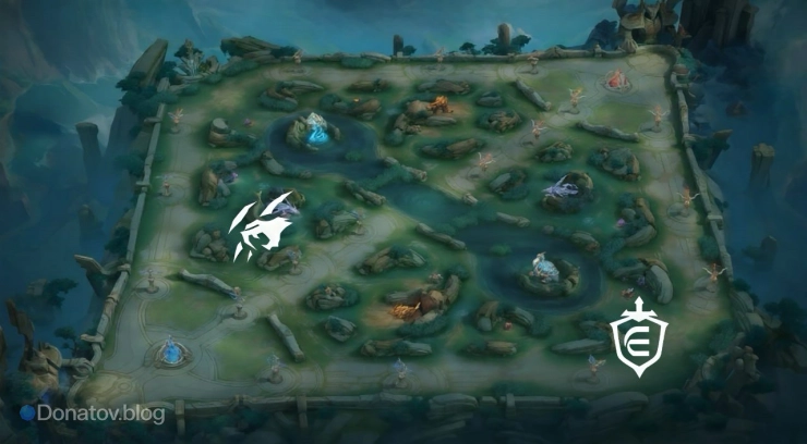 Линия опыта + лес