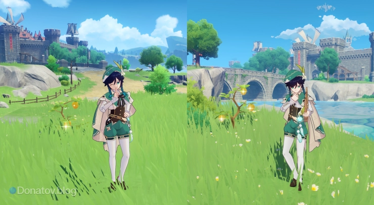 Ягода на въезде в Мондштадт