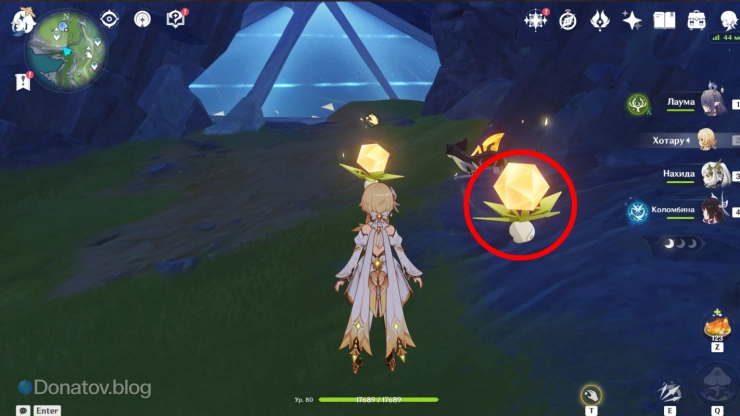 Чудесные мандрагоры