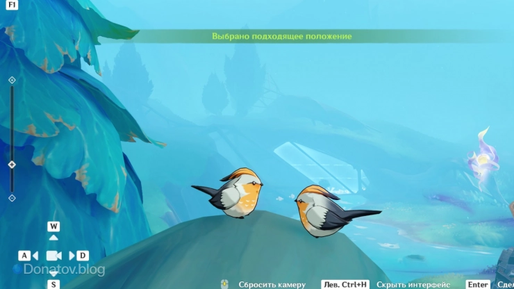 Фото зябликов