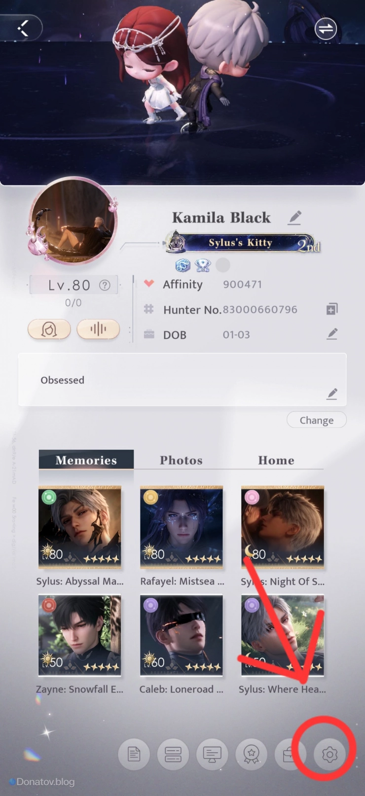 Настройки Love and Deepspace