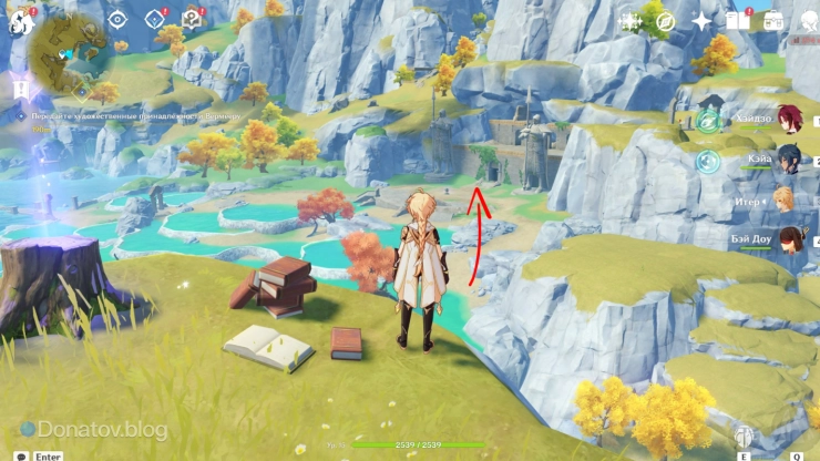 Направление полёта