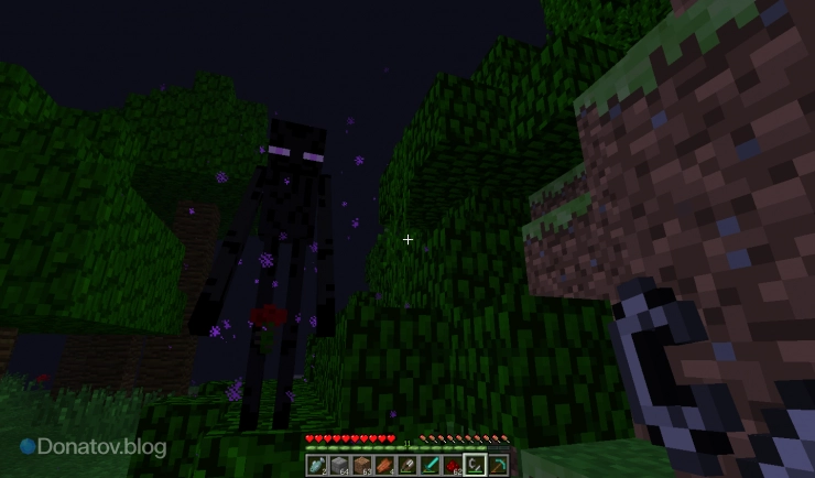 Странник Края в Minecraft