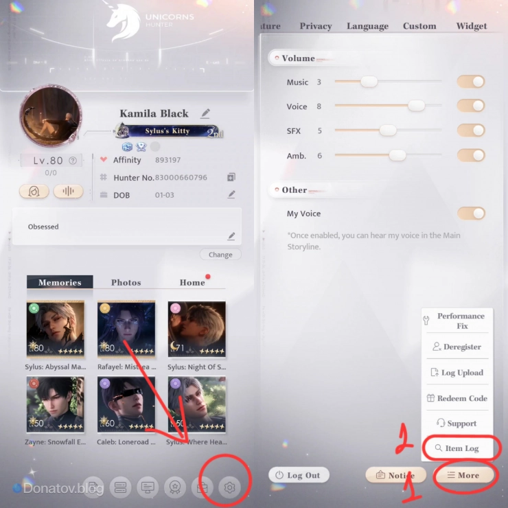 Инструкция: как найти раздел Item log в Love and Deepspace
