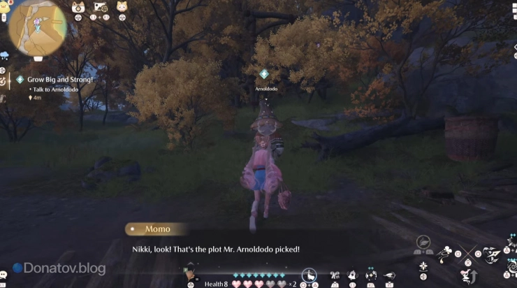 Arnoldodo в Infinity Nikki