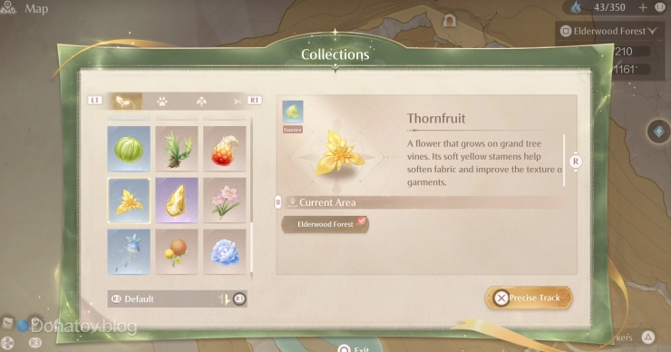 Thornfruit в Infinity Nikki