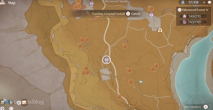 Где найти Looptail Furball в Infinity Nikki