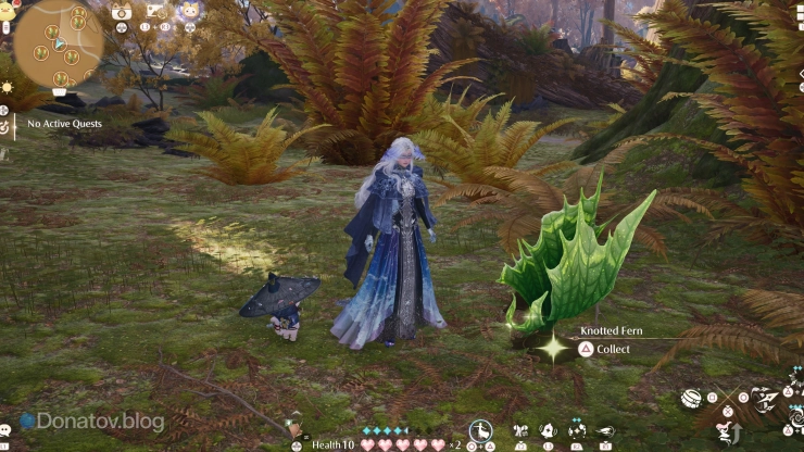 Как выглядит Knotted Fern