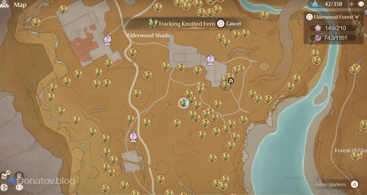 Где найти Knotted Fern в Infinity Nikki