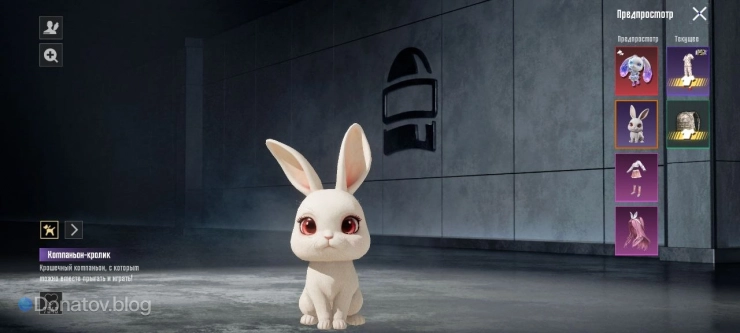 Кролик-компаньон в PUBG Mobile