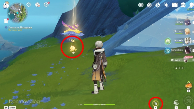 Мандрагора