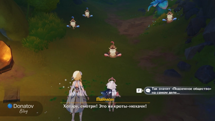 «Подземное общество»