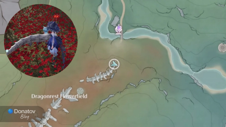 Где искать Coccyx Fossil в Infinity Nikki