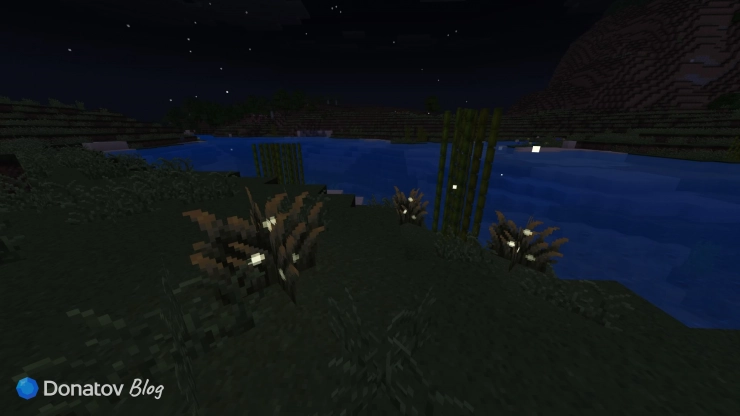 Тростник у воды в Minecraft